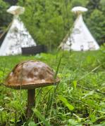 Top Deštné v Orlických horách