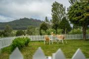 Top Ooty