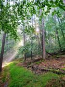 Ferienwohnung im Herzen des Pfälzer Waldes