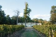 La Closerie des Vignes - Chatonnet Vineyards