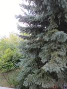 Top Biała Podlaska Top Biała Podlaska