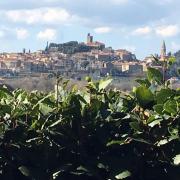 Agriturismo Borgo Santa Lucia, Entire property