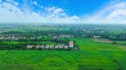 Top Manesar