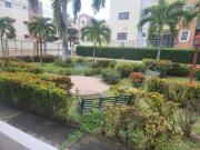 Top Ciruelitos Arriba