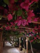 Stamenkovic apartman