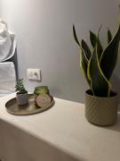 Olivia Tertseti apartment