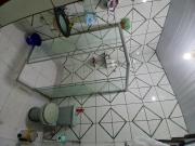 Top Belém