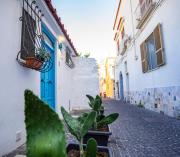 Top Procida Top Procida