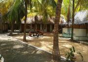 Salty Mango Resort