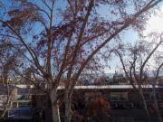 Top Mendoza