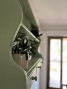 Top Colonna