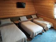 Top Jedlicze Top Jedlicze