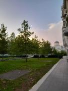 Top Podgorica