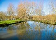 Fairwood Lakes Holiday Park