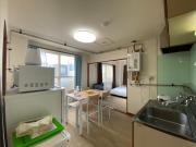 Caprice Toyohira Park 305 - Vacation STAY 11862