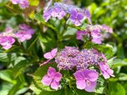 Lagoon Resort - Vacation STAY 96528v