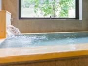 Rakuten STAY VILLA Aso Kurokawa -104 1LDK Capacity of 6 persons