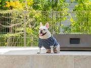 Top Minamioguni Top Minamioguni