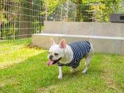 Top Minamioguni Top Minamioguni