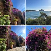 Top Bormes-les-Mimosas