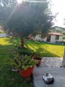 Top Agia Paraskevi