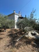 Top Loutrá Elevtherón