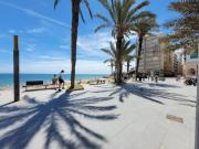 Top Torrevieja