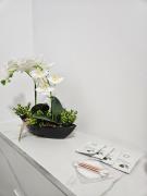 Top Sînmartin Top Sînmartin