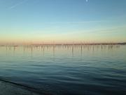 Top Lège-Cap-Ferret