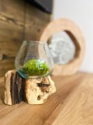 Top Harrachov Top Harrachov