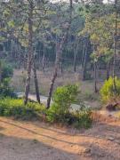 Top Viana do Castelo