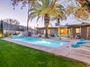 Canary Palms by ACME House Company