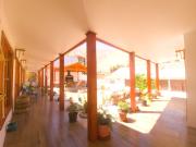 Top Pisco Elqui Top Pisco Elqui