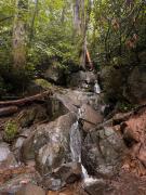 Top Sevierville