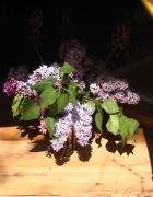 Top Villaines-les-Rochers