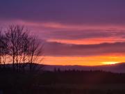 Rosenzauber Luxux-Caravan 5 Sterne