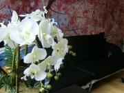 Corpo Kazehaya 205 - Vacation STAY 14603v