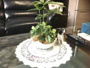 KY Apartment - Vacation STAY 40189v