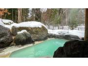 Bandai Nishimuraya - Vacation STAY 60115v