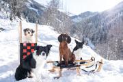 Top Rauris