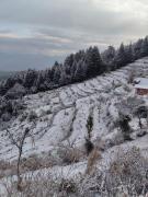 Top Kanatal