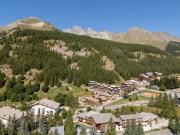 Top Allos