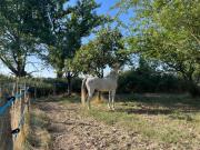 Top Saint-Christophe-en-Boucherie