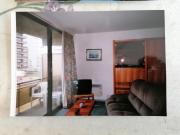 Ruytingen de panne Ruytingen de panne