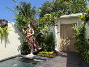 Top Ubud