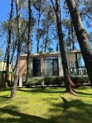 Shekvetili Small Wonder