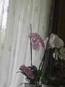 Top Iława Top Iława