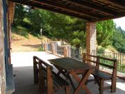 Top Cetraro