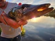 Top Pułtusk Top Pułtusk