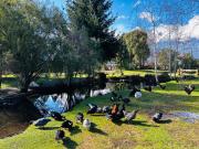 Top Lago Puelo